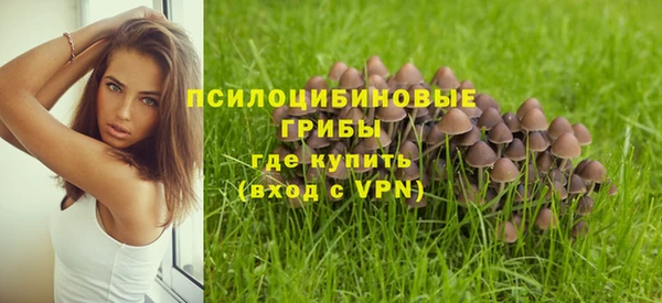 кокаин перу Богданович