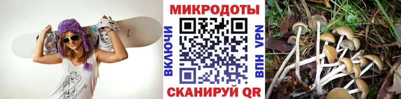 Псилоцибиновые грибы GOLDEN TEACHER  Малоярославец 
