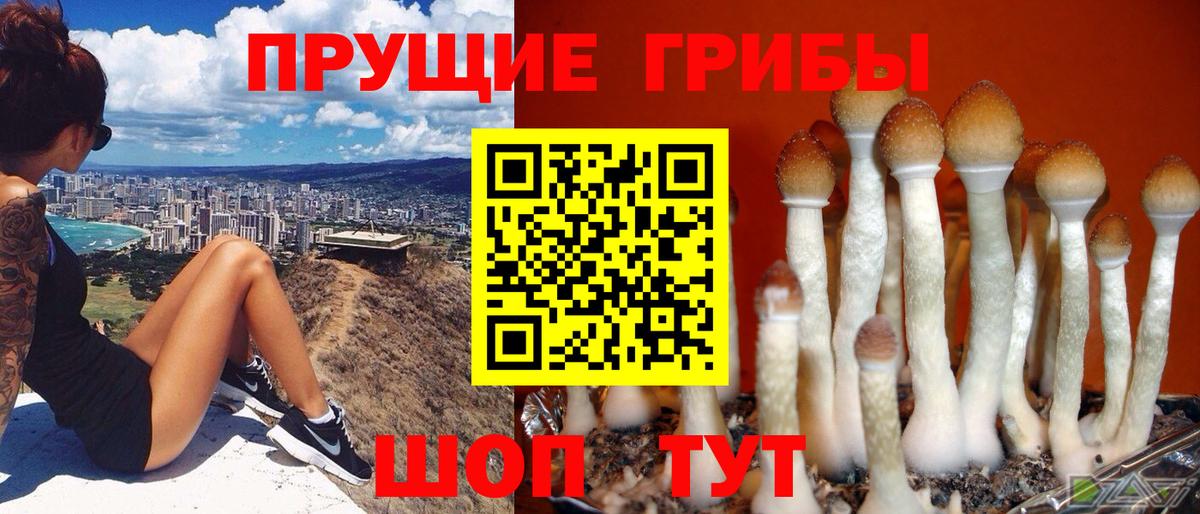 Галлюциногенные грибы GOLDEN TEACHER Малоярославец