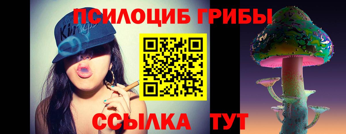 Галлюциногенные грибы Psilocybe  Вход с VPN  Малоярославец  Псилоцибиновые грибы мицелий 